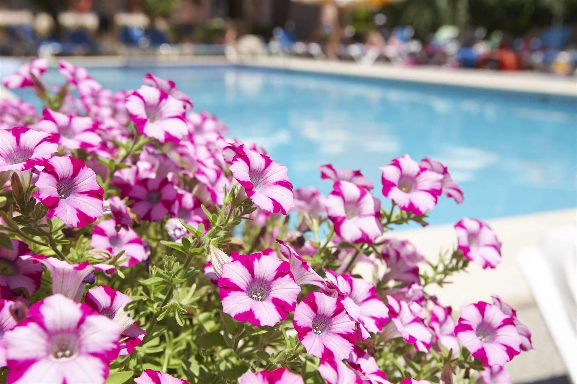 Universal Hotel Bikini Cala Millor  Bagian luar foto